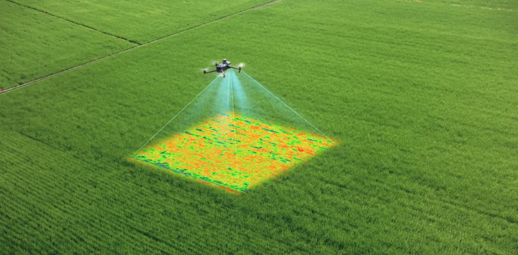 Dron multiespectral generando un mapa de salud de un cultivo