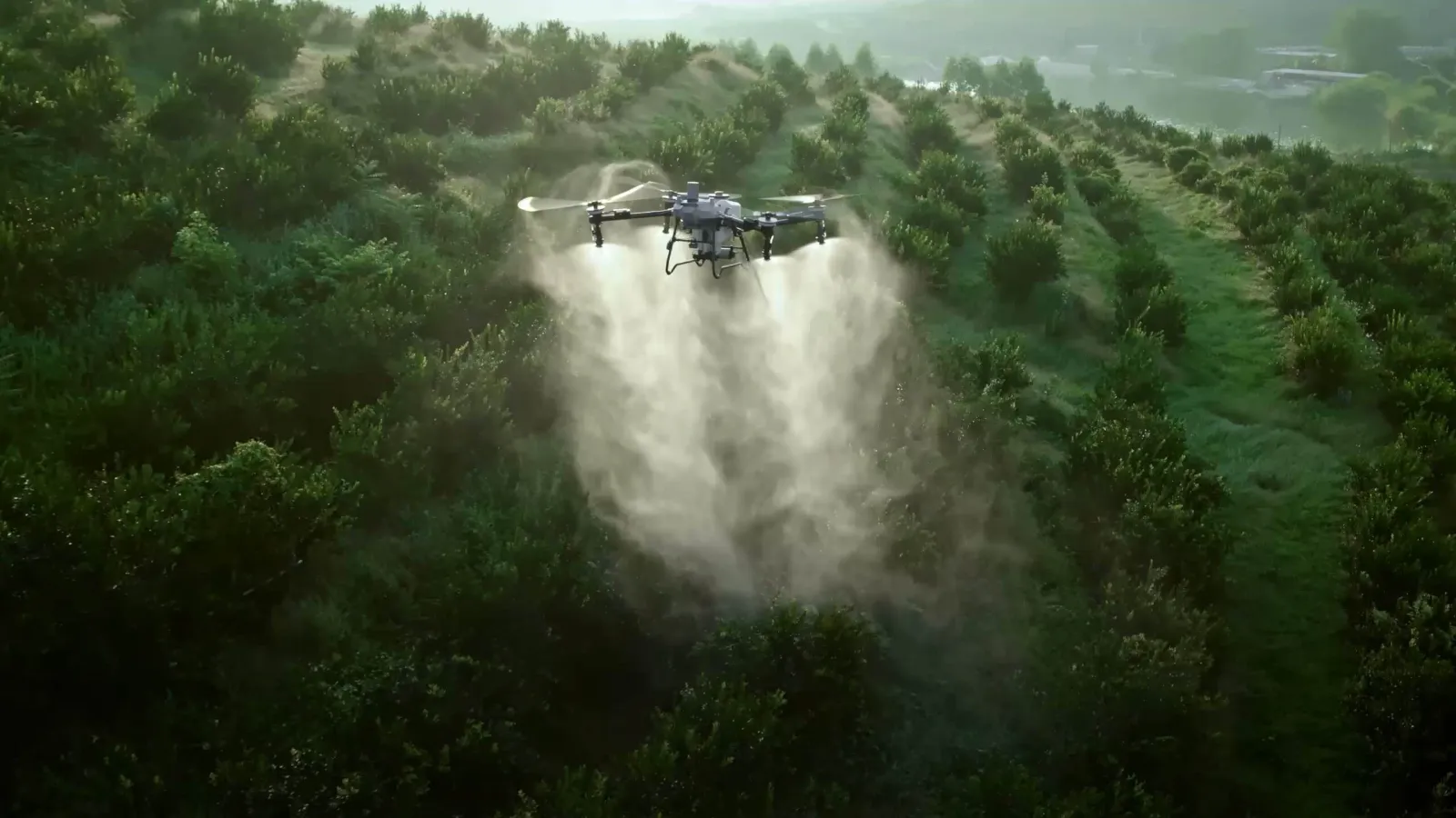 Dron aplicando un tratamiento sobre árboles en una ladera