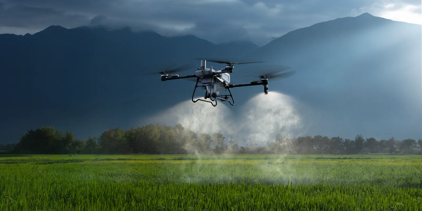 Dron aplicando un tratamiento sobre un campo verde con montañas al fondo